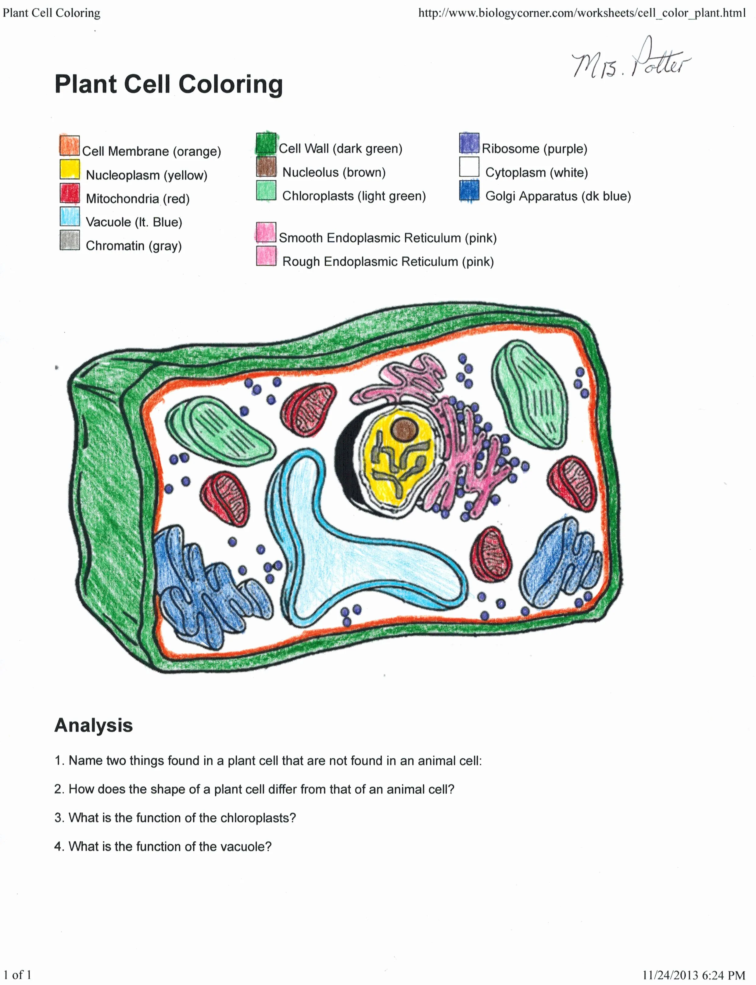 Sixth grade science worksheet featuring a diagram to label the parts of a plant cell