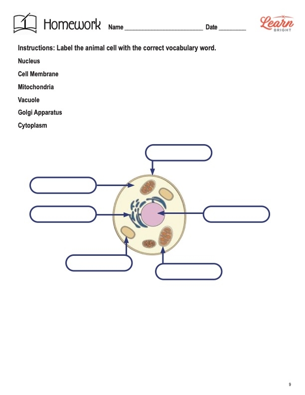 Sixth grade student working on a Label the Plant Cell Level 2 worksheet