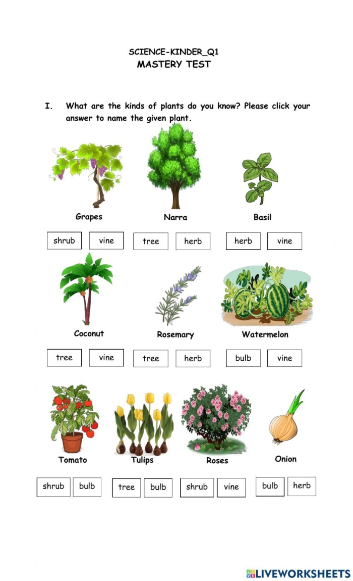Engaging Plant Color by Word worksheet for geometry learning in early education Color-by-word worksheet featuring plants for kindergarten sight word practice