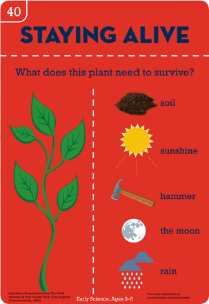 Plant Survival Worksheet 23 Ratios and Proportions Activity for Kindergarteners Kindergarten student worksheet illustrating the essential sunlight and water requirements for plant growth