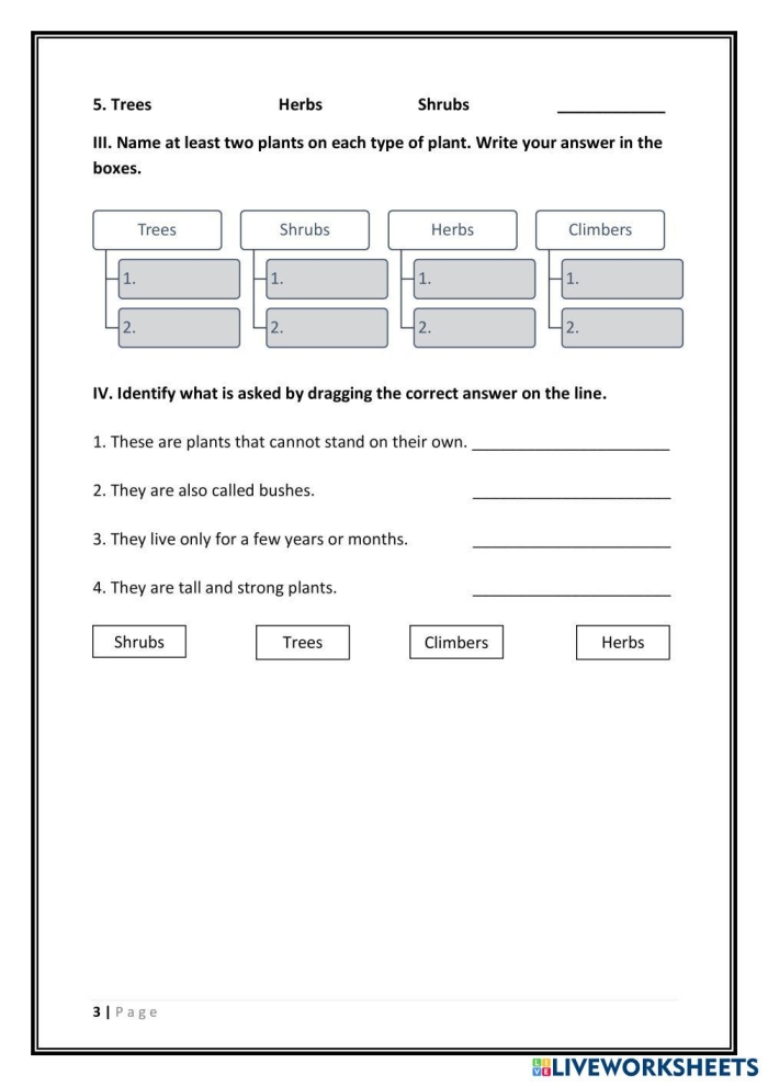 Plant Survival Worksheet 24 Botany Basics for Kindergarteners Kindergarten worksheet featuring illustrations to help students identify plant growth requirements through ratio and proportion logic