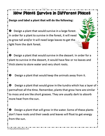 Plant Survival Lesson Worksheet Number 13 for Kindergarten Science Kindergarten worksheet showing pictures of plant growth needs for teaching ratios and proportions