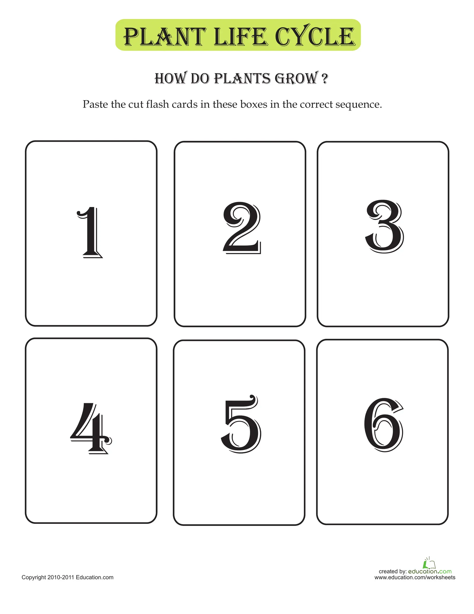 Kindergarten students learning the stages of growth with Plant Life Cycle Flash Cards worksheet 11