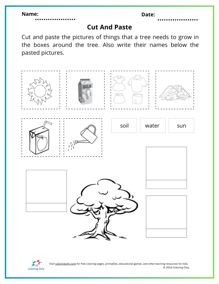 What Do Plants Need worksheet for first grade students image 19 First grade science worksheet asking children to identify what plants need to grow