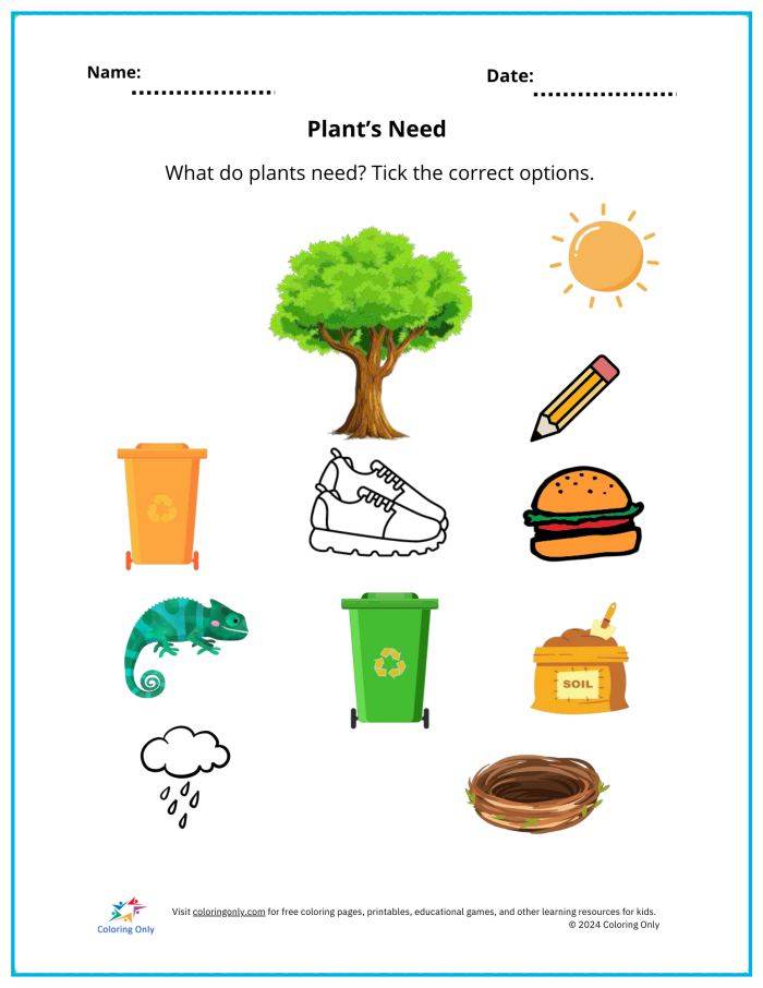 What Do Plants Need worksheet number 18 for first grade science First grade science worksheet asking children to identify what plants need to grow