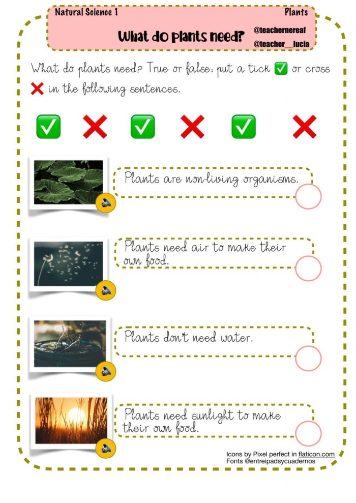 Interactive plant care activity for elementary students learning about plant requirements and life science basics First grade worksheet showing pictures of items for children to identify what plants need to grow and survive
