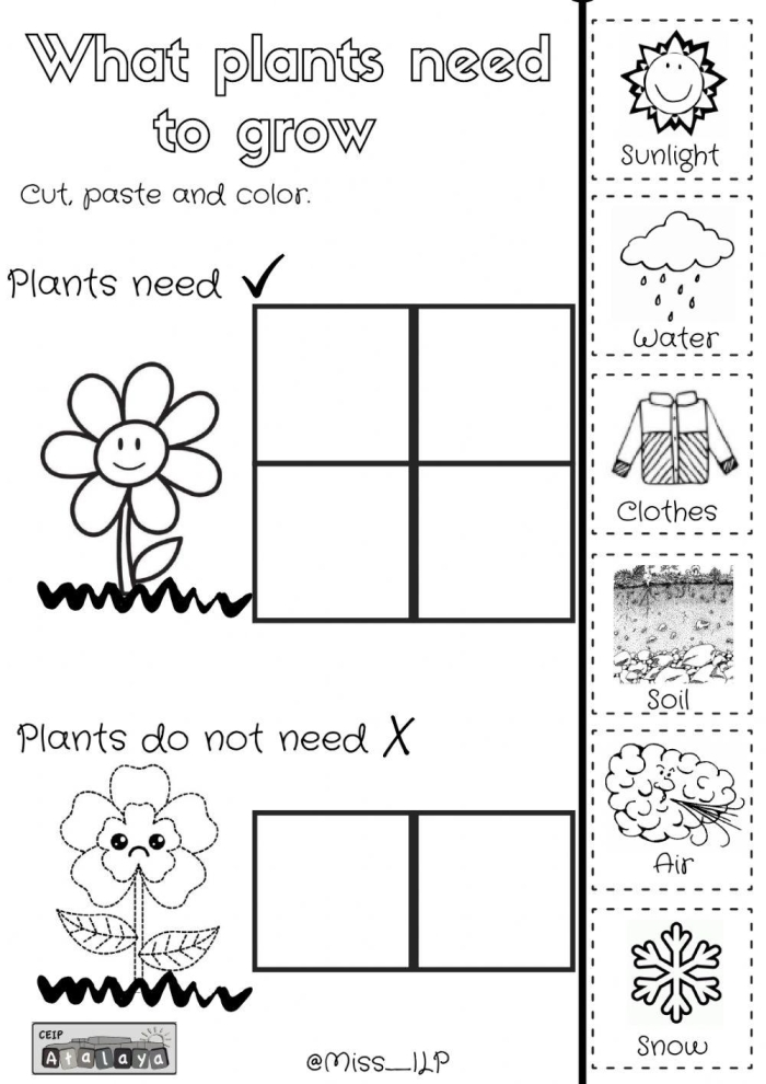 What Do Plants Need Worksheet Image 21 First grade science worksheet about essential needs for plant life