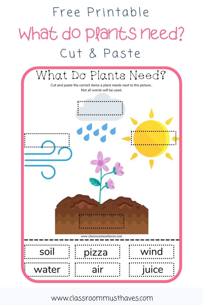 What Do Plants Need worksheet for first grade science 3 First grade worksheet asking students to identify what plants need to survive