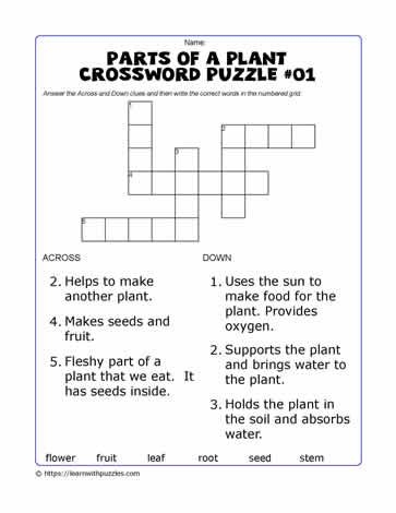 First grade students completing a plant parts crossword puzzle worksheet to learn about plant functions