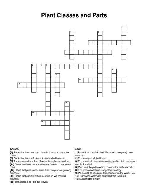 First grade students completing a plant parts crossword puzzle worksheet with clues about roots, stems, leaves, and flowers
