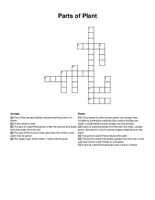 First grade worksheet featuring a crossword puzzle about the different parts of a plant