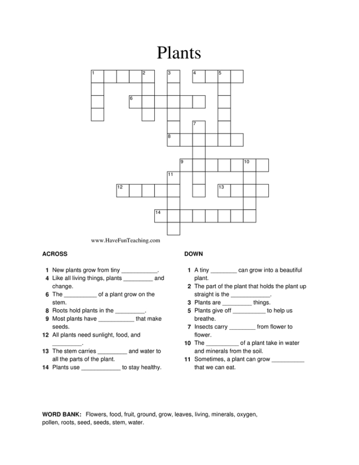 First grade students completing a plant parts crossword puzzle worksheet with clues about roots, stems, and leaves