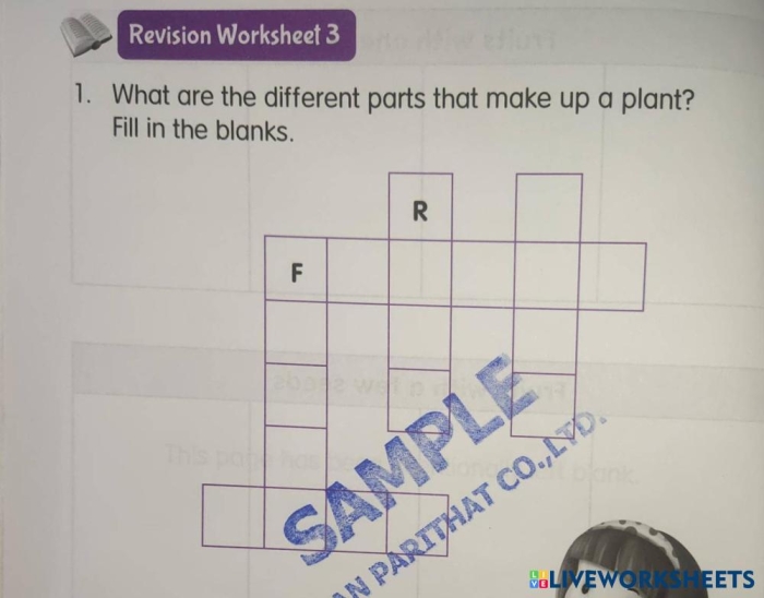 A first grade student solving a plant parts crossword puzzle worksheet