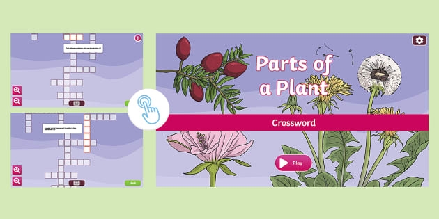 First grade students completing a plant parts crossword puzzle worksheet with illustrated clues