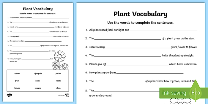 Plant Vocabulary Review Page for Elementary Biology Learners Fourth grade students labeling and identifying different plant parts including roots stems leaves and flowers on an educational worksheet