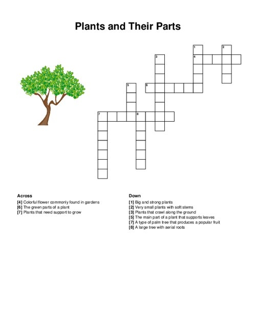 First grade plant parts crossword puzzle with clues about roots, stems, leaves, and flowers