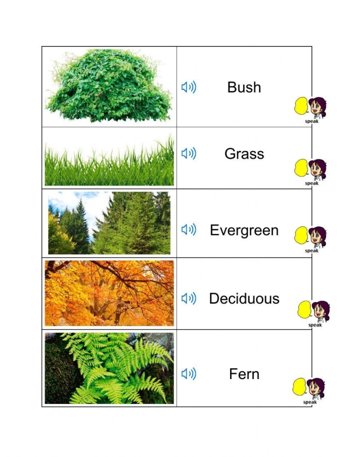 Plant vocabulary review worksheet for fourth graders image 6 Fourth grade plant parts vocabulary worksheet for biology students