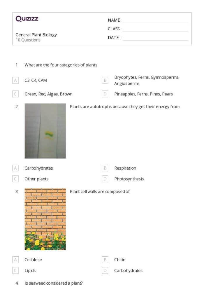 Fourth grade students completing a science worksheet about plant biology and terminology
