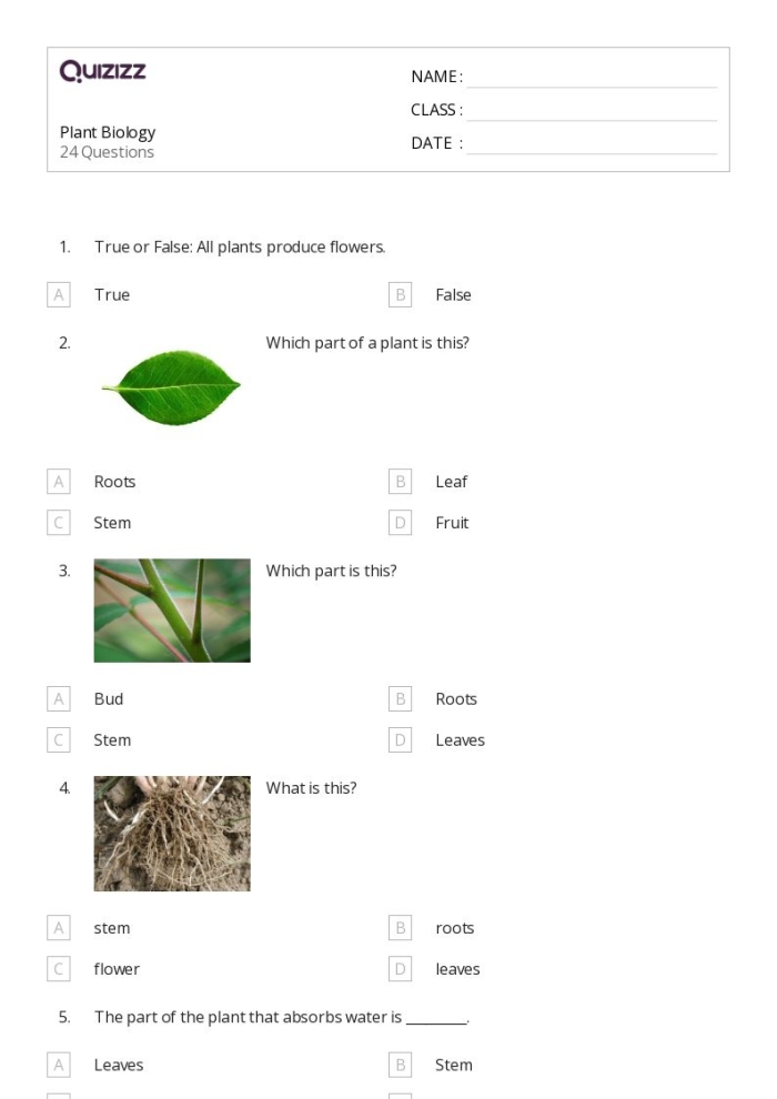 Fourth grade students testing their botanical knowledge with a plant quiz worksheet
