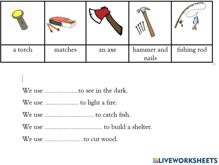 Plant Survival Ratios and Proportions Worksheet 19 Kindergarten worksheet featuring illustrations of plants to teach basic botany and survival needs