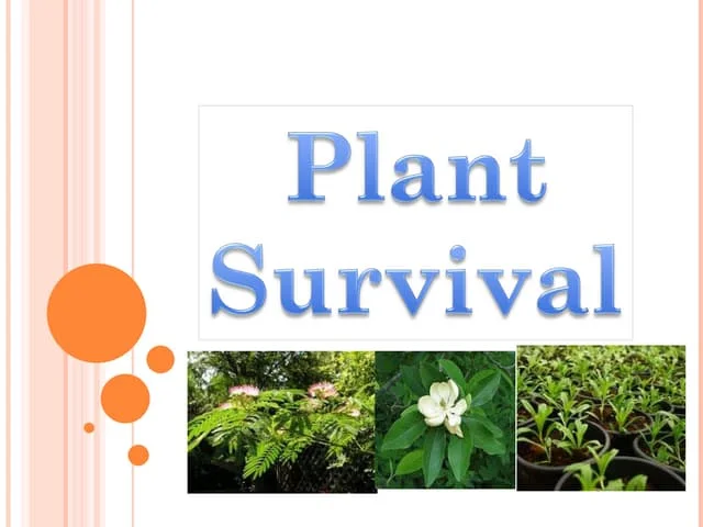 Plant Survival Worksheet 22 Ratios and Proportions Activity Kindergarten student completing a plant survival worksheet about botanical growth needs