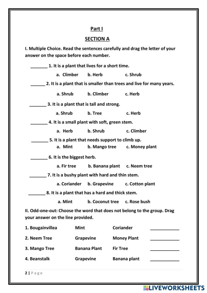 Ratios and Proportions worksheet for Kindergarten Plant Survival worksheet for kindergarten, illustrating essential needs for plant growth. Educational image for Ratios and Proportions in botany for young learners.