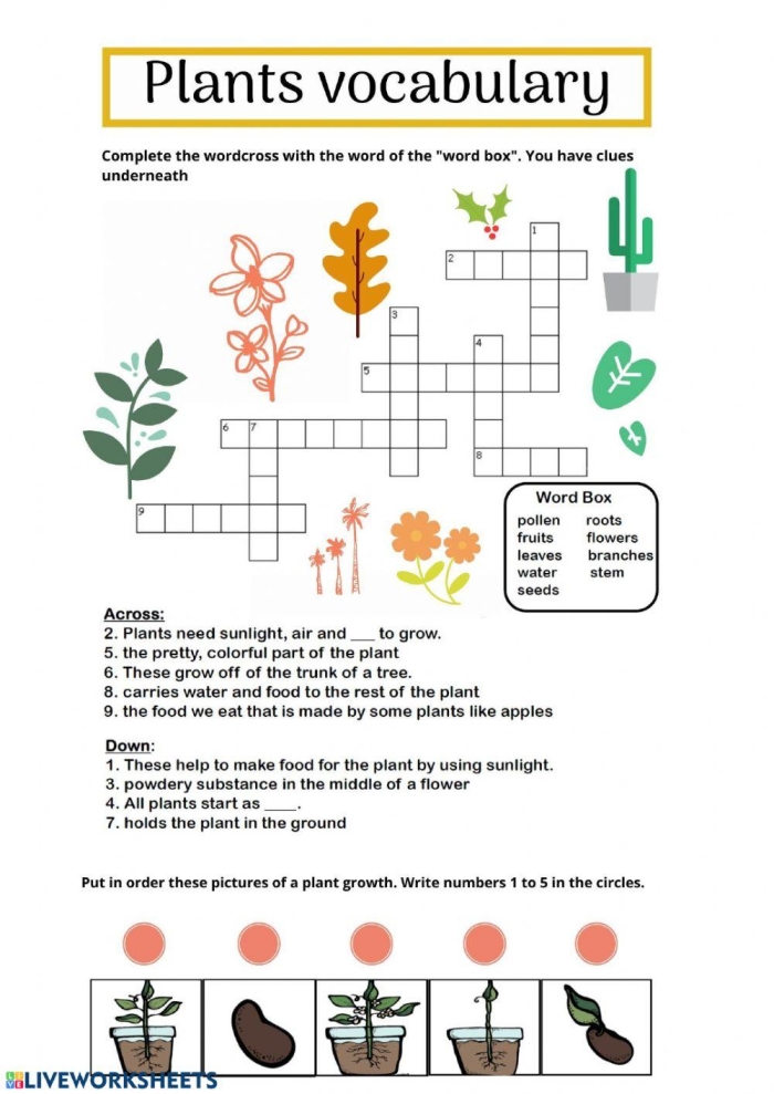 Plant Vocabulary Worksheet Number Two for Fourth Grade Students Fourth grade plant vocabulary worksheet with diagram of botanical structures