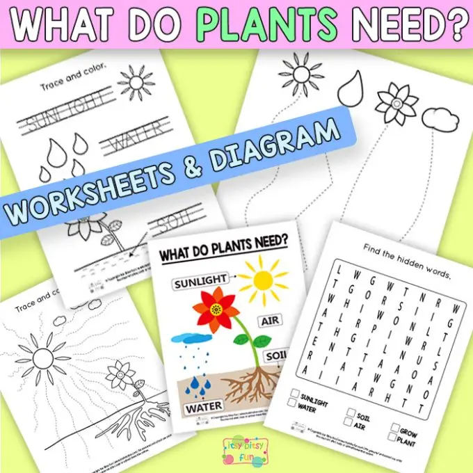 What Do Plants Need Worksheet for First Grade Science Lesson 8 First grade science worksheet asking children to identify what plants need to grow