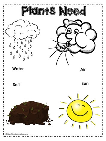 What Do Plants Need educational activity for young learners image 25 First grade worksheet showing pictures of items for students to identify what plants need to grow and survive