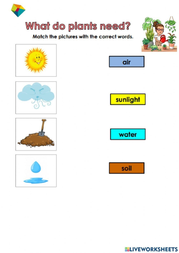 What Do Plants Need Educational Activity 11 First grade science worksheet showing pictures of items needed for plants to grow with checkboxes for students to identify necessities