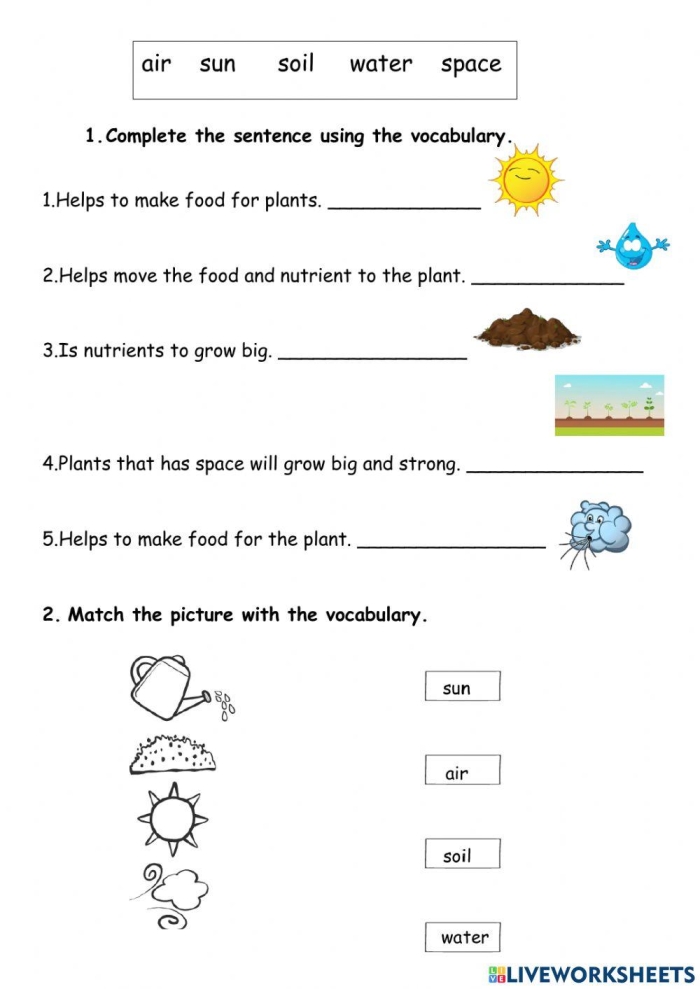 What Do Plants Need educational activity for young learners image 14 First grade worksheet showing pictures of items for students to identify what plants need to grow and survive
