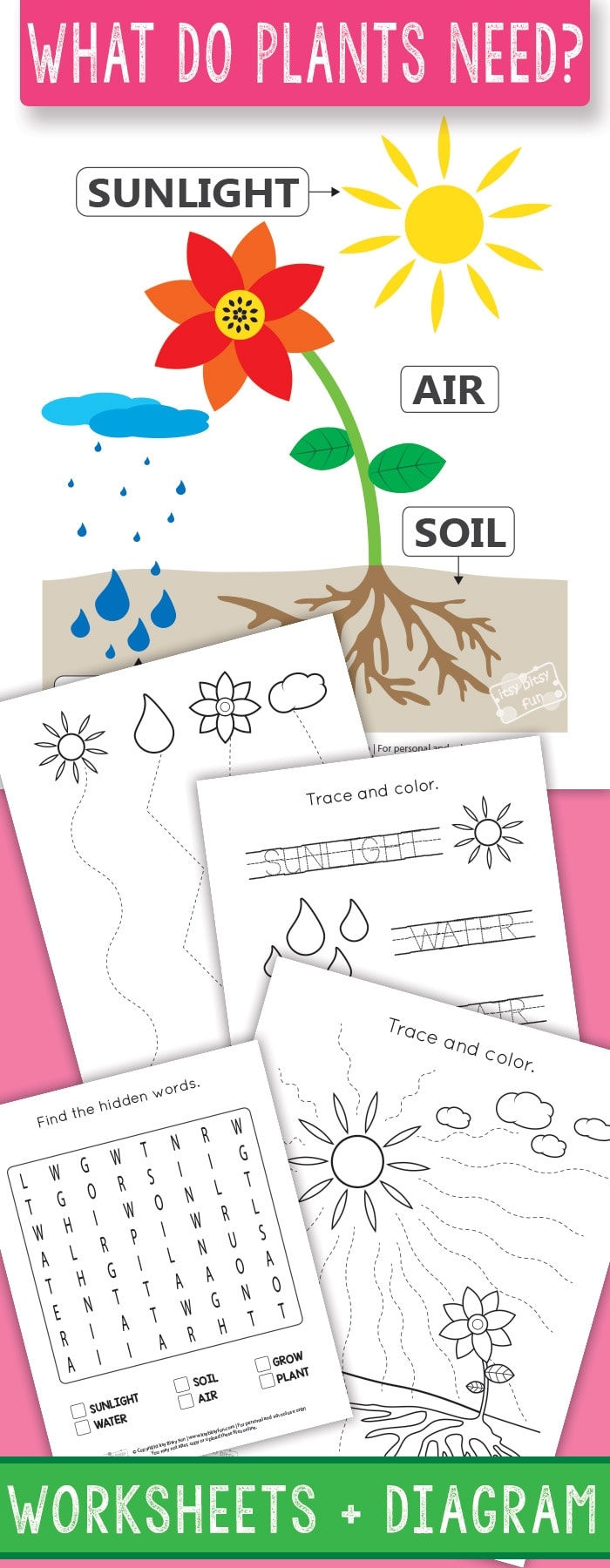 What Do Plants Need Learning Activity for Young Learners Image 2 First grade students identifying essential items plants need to grow on educational worksheet