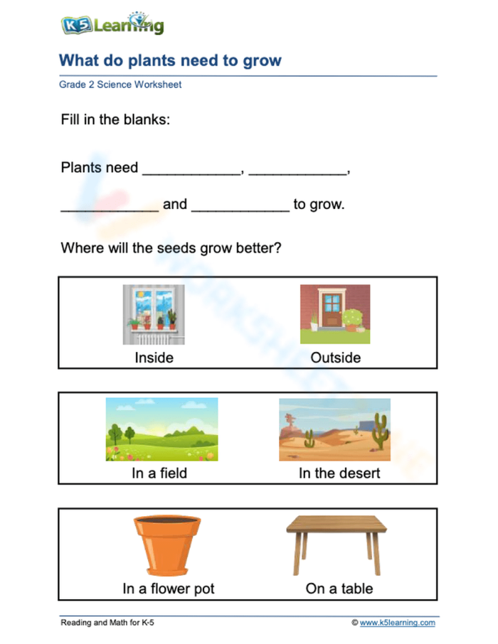 What Do Plants Need Activity Sheet for Young Learners First grade worksheet showing pictures of items for students to identify what plants need to grow and survive
