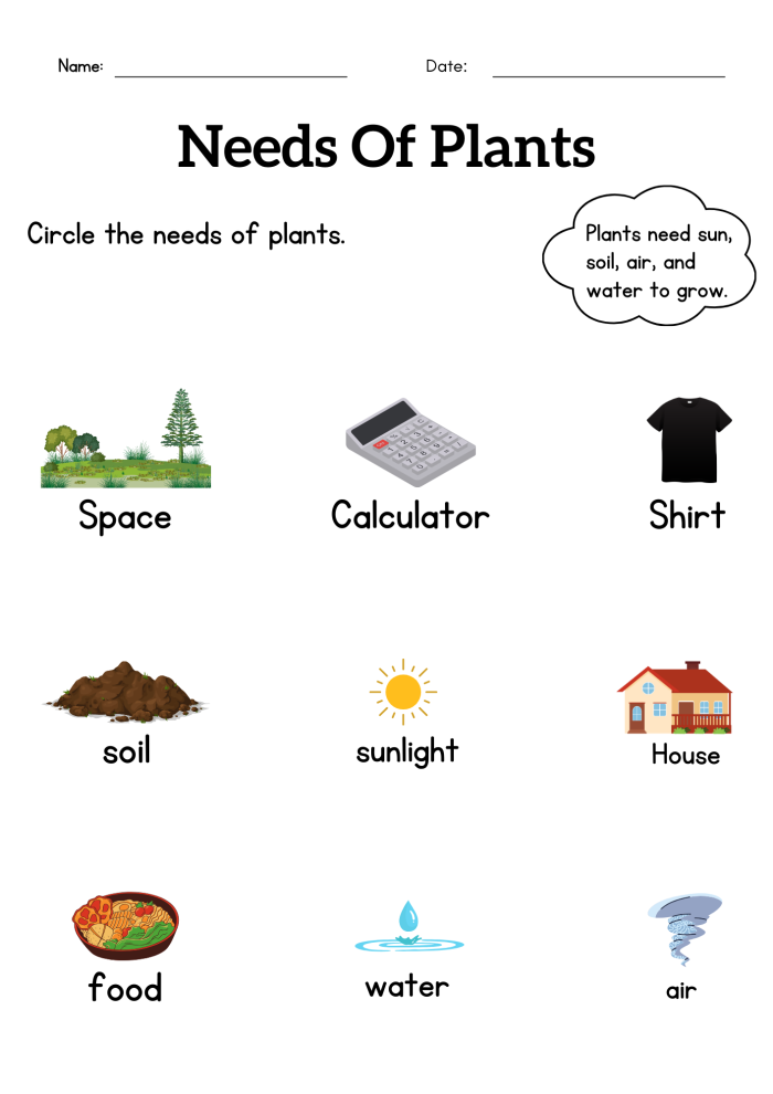 What Do Plants Need Worksheet for First Grade Students 22 First grade worksheet about plant growth requirements with multiple choice items