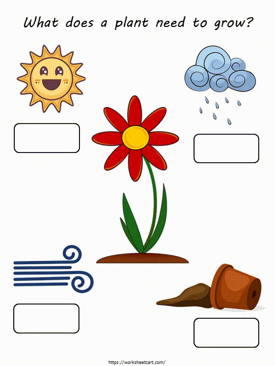 What Do Plants Need Worksheet Sixteen for First Grade Multiplication First grade worksheet asking students to identify what plants need to grow