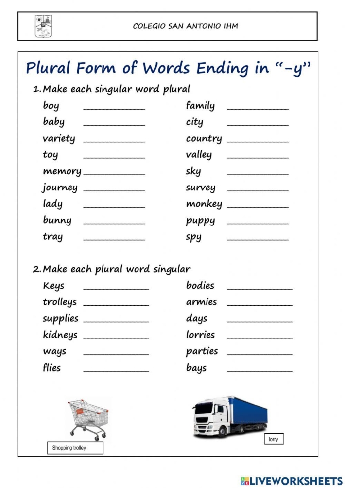 Second grade grammar worksheet showing singular nouns ending in y being converted to plural forms with s or ies endings