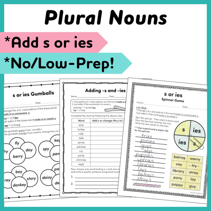 Second grade student worksheet for changing singular nouns ending in y to the plural ies form