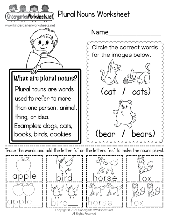 Algebra worksheet for Third Grade Worksheet focused on plural nouns for third graders to enhance their learning skills. Essential resource for mastering plural forms in English language.