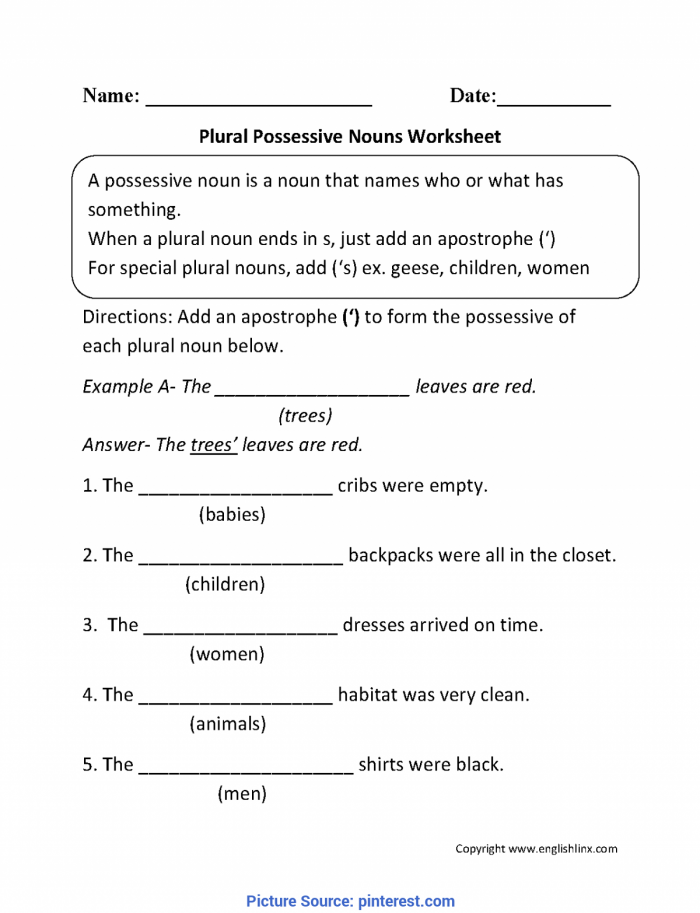 Plural Possessive Nouns Grammar Practice for Elementary Students Third grade grammar worksheet showing examples of plural possessive nouns with practice exercises for students learning to add apostrophes to plural words