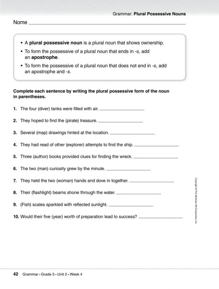 Great Grammar Plural Possessive Nouns Learning Activity for Elementary Students Third grade grammar worksheet showing examples of plural possessive nouns with practice exercises