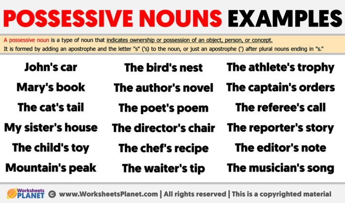 Great Grammar Plural Possessive Nouns Practice Activity for Elementary Students Third grade grammar worksheet showing plural possessive noun examples and practice exercises for students learning to add apostrophes to plural words