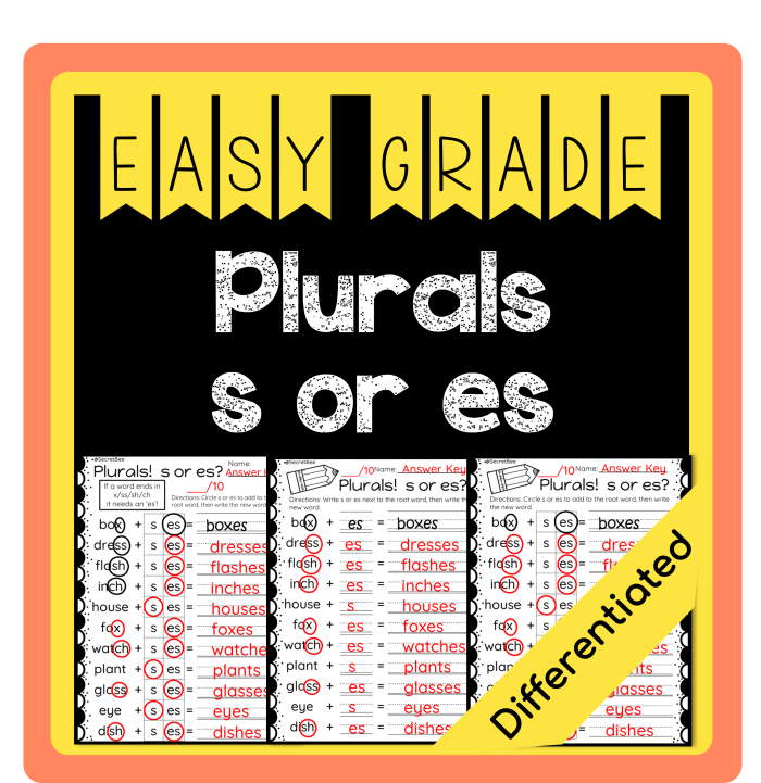 Second grade worksheet showing singular nouns with blanks for students to write the plural forms by adding s or es endings