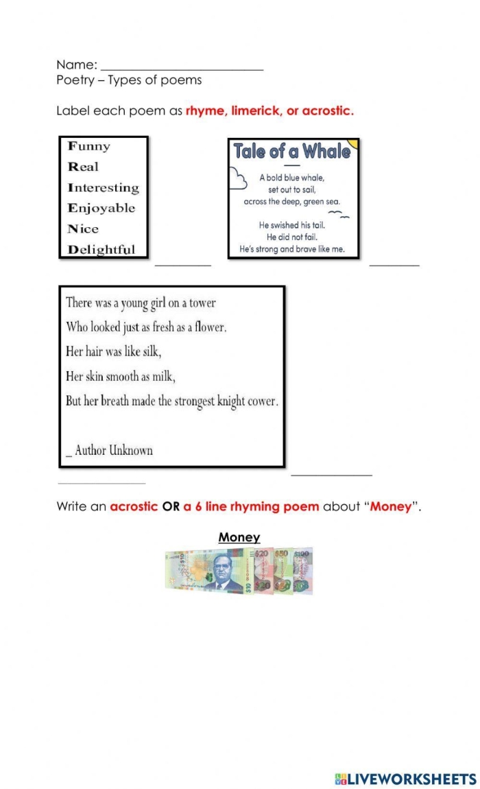 Engaging worksheet on different poetry styles for Grade 3 students Types of Poetry worksheet for third graders exploring various poetic structures