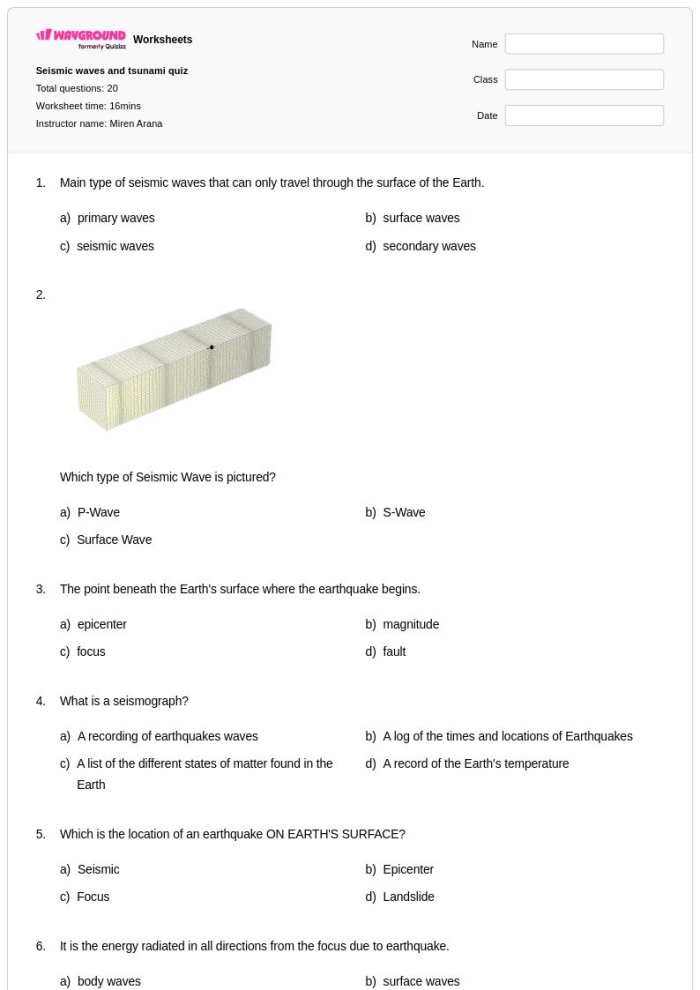 Worksheet for recognizing the author's point of view in a text about the Tsunami of 2004