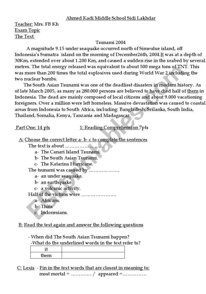Worksheet for practicing point of view on the Tsunami of 2004 for third graders