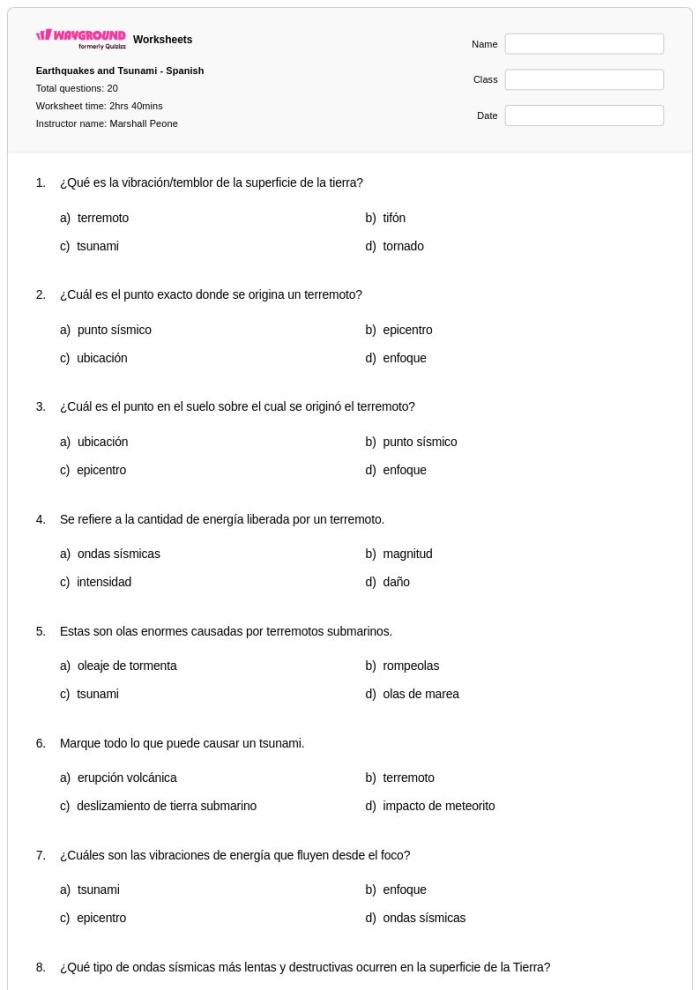 Worksheet for Point of View Practice on the Tsunami of 2004 for third graders