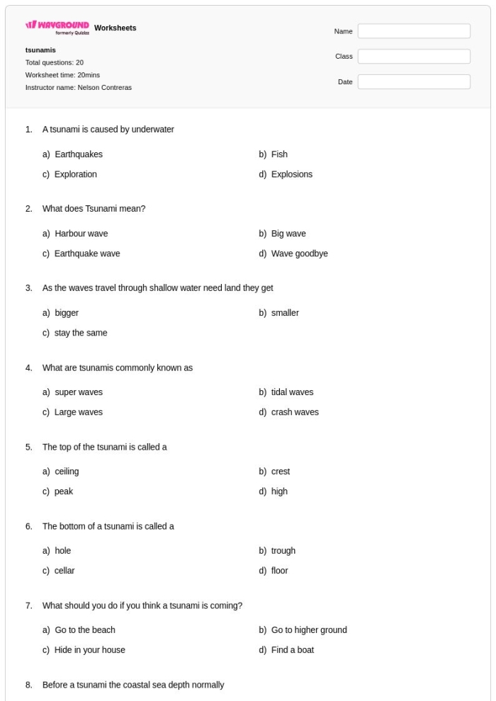 Worksheet for practicing point of view using the Tsunami of 2004 passage for third graders