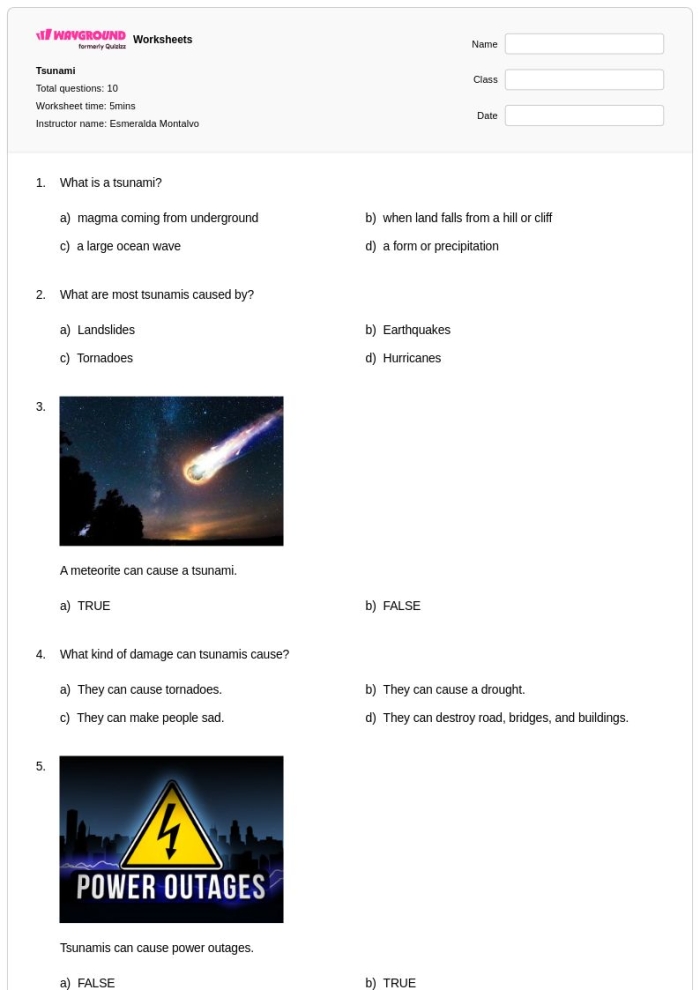 Worksheet for practicing point of view in a text about the 2004 tsunami