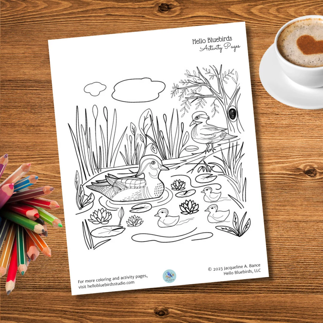 Second grade science worksheet featuring a mandala style illustration of pond animals like frogs turtles and butterflies