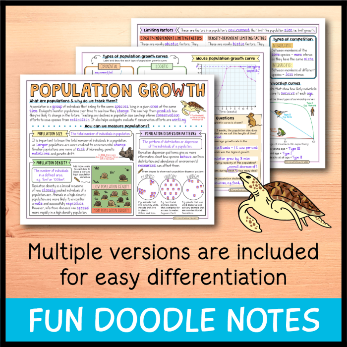 Population Growth Factors Worksheet for Sixth Grade Algebra: Fox and Rabbit Example Worksheet illustrating population growth factors using fox and rabbit dynamics in a forest ecosystem